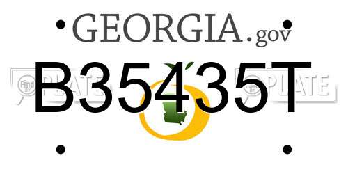 B35435T Georgia License Plate