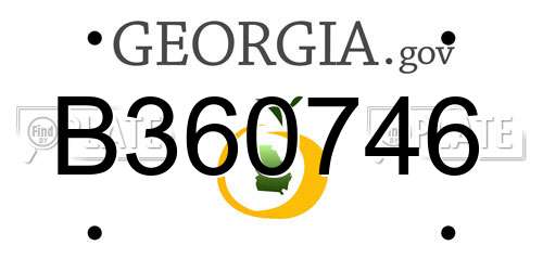 B360746 Georgia License Plate