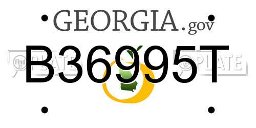 B36995T Georgia License Plate