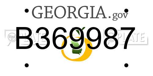 B369987 Georgia License Plate