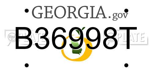 B36998T Georgia License Plate