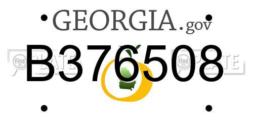 B376508 Georgia License Plate