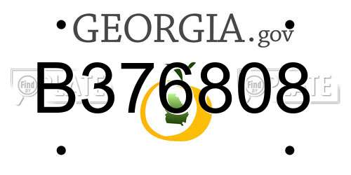 B376808 Georgia License Plate