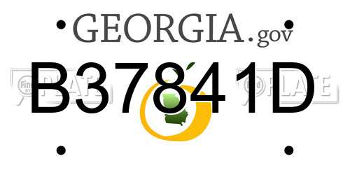 B37841D Georgia License Plate