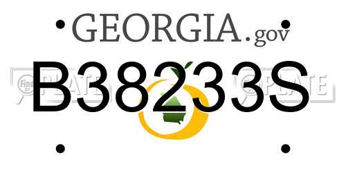 B38233S Georgia License Plate
