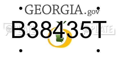 B38435T Georgia License Plate