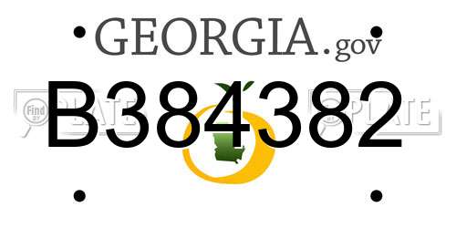 B384382 Georgia License Plate
