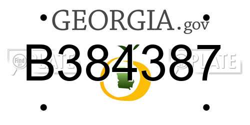 B384387 Georgia License Plate