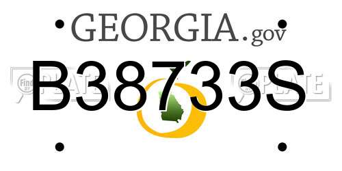 B38733S Georgia License Plate