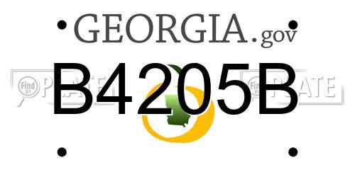 B4205B Georgia License Plate