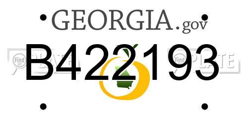B422193 Georgia License Plate
