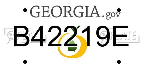 B42219E Georgia License Plate