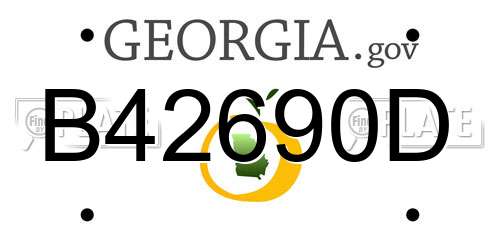 B42690D Georgia License Plate
