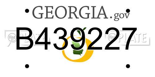 B439227 Georgia License Plate