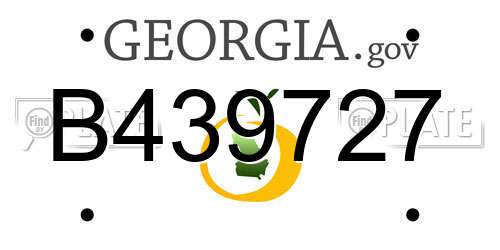 B439727 Georgia License Plate