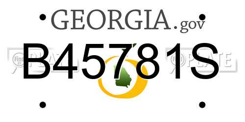 B45781S Georgia License Plate