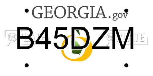 B45DZM Georgia License Plate