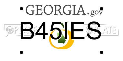 B45IES Georgia License Plate