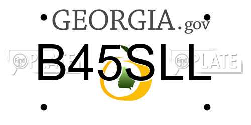B45SLL Georgia License Plate