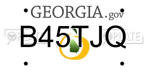 B45TJQ Georgia License Plate
