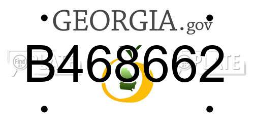 B468662 Georgia License Plate