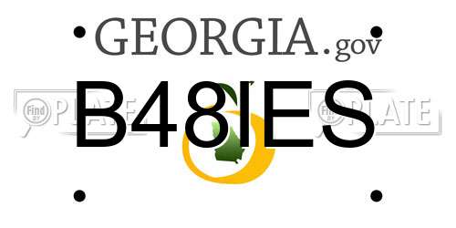 B48IES Georgia License Plate