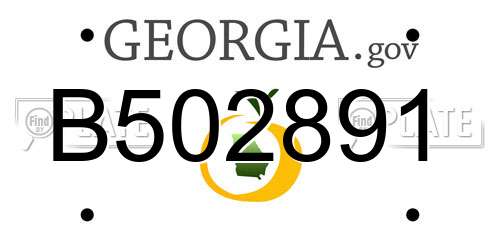 B502891 Georgia License Plate