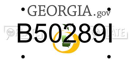 B50289I Georgia License Plate