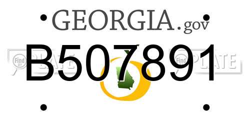 B507891 Georgia License Plate
