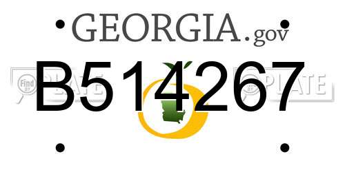 B514267 Georgia License Plate