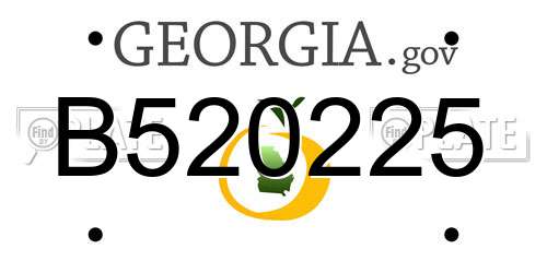 B520225 Georgia License Plate