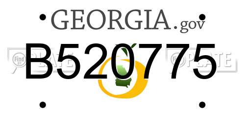 B520775 Georgia License Plate