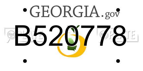 B520778 Georgia License Plate
