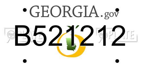 B521212 Georgia License Plate