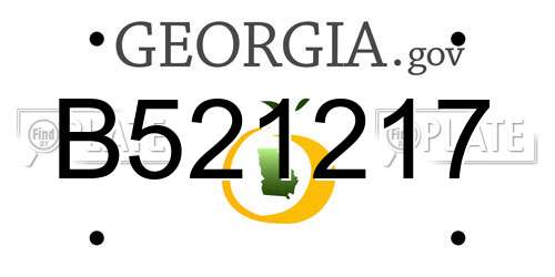 B521217 Georgia License Plate