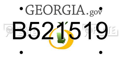 B521519 Georgia License Plate