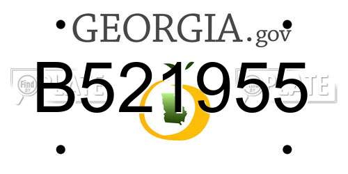 B521955 Georgia License Plate