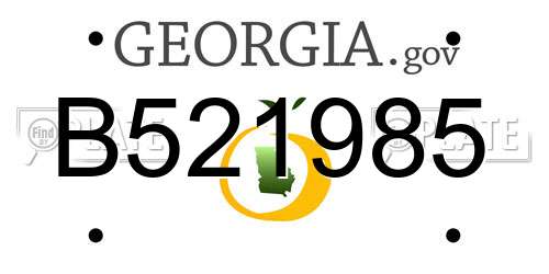 B521985 Georgia License Plate