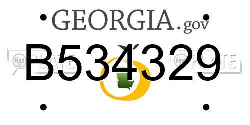 B534329 Georgia License Plate