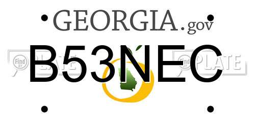B53NEC Georgia License Plate
