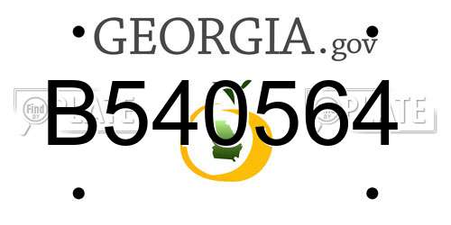 B540564 Georgia License Plate