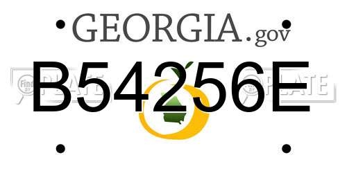 B54256E Georgia License Plate