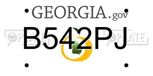 B542PJ Georgia License Plate