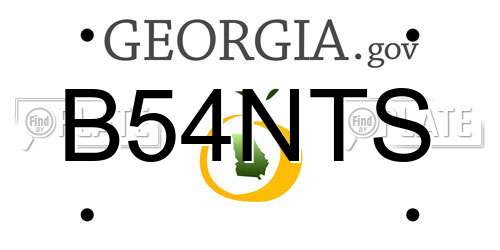 B54NTS Georgia License Plate