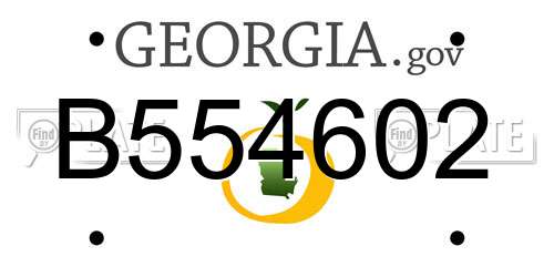 B554602 Georgia License Plate