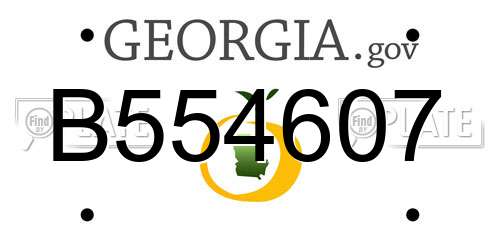 B554607 Georgia License Plate
