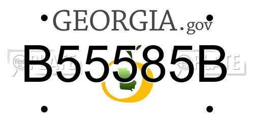 B55585B Georgia License Plate