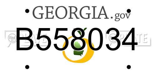 B558034 Georgia License Plate