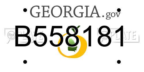 B558181 Georgia License Plate