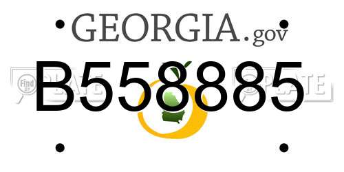 B558885 Georgia License Plate